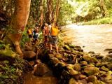 Kayak Adventures Waterfall Tour